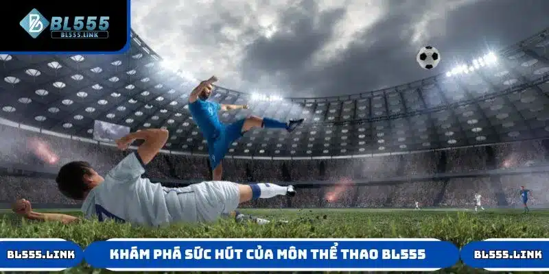Khám phá sức hút của môn thể thao BL555